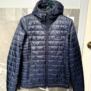 Patagonia nano puff fitz Roy trout hoody
